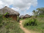 Деревня на острове Килва у южного побережья Танзании (автор Д.М. Бондаренко)