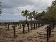 Вид на морское кладбище, остров Чапвани (фото А.А. Банщиковой) 