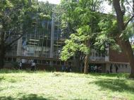 В кампусе Университета Зимбабве